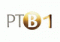 ���1 (RTV1)